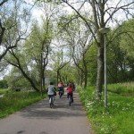 Mike S Bike Tours